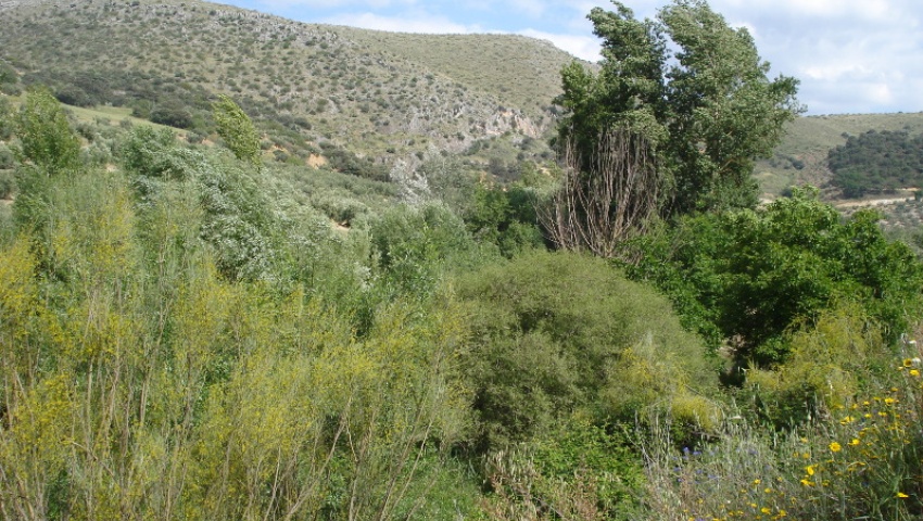 Ruta de los ríos y sus habitats